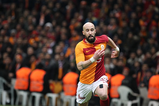 和严谨的项 和严谨的项