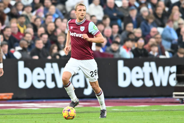 就以其睿智 就以其睿智